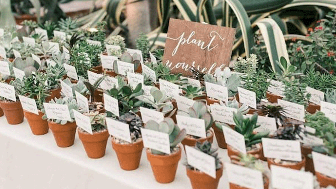 10 Fun And Eco-Friendly Wedding Favors Ideas For A Sustainable Celebration