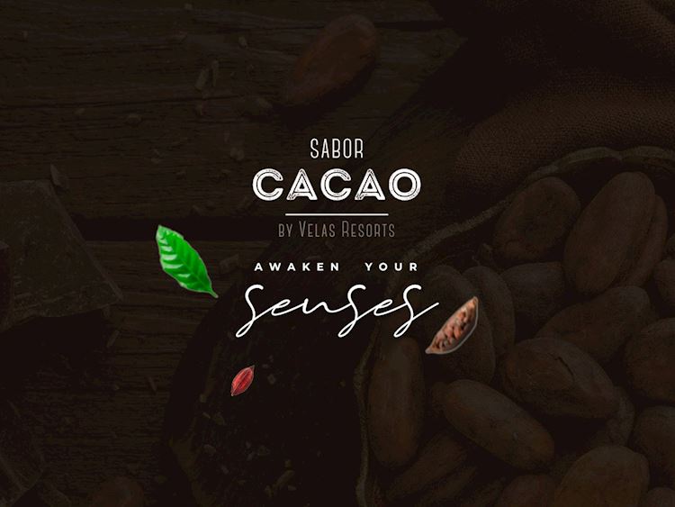 Sabor cacao