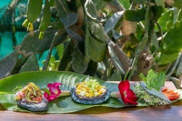 New Healthy Antojitos, Mexican Savory Bites, Cooking Class at Casa Velas in Puerto Vallarta