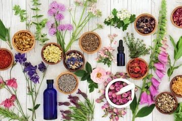 Aromatherapy for Beginners: History, Tips, & More From Mexico’s Velas Resorts