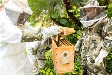 New Beeswax Crayon Workshop for Children Fuses Sustainability & Creativity At Grand Velas Riviera Nayarit