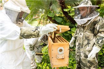 New Beeswax Crayon Workshop for Children Fuses Sustainability & Creativity At Grand Velas Riviera Nayarit
