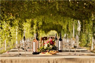 Grand Velas Boutique Los Cabos Expands Its Spirited Experiences to Hidden Wine Region Gem of Coahuila for Partnership with Casa Madero Winery