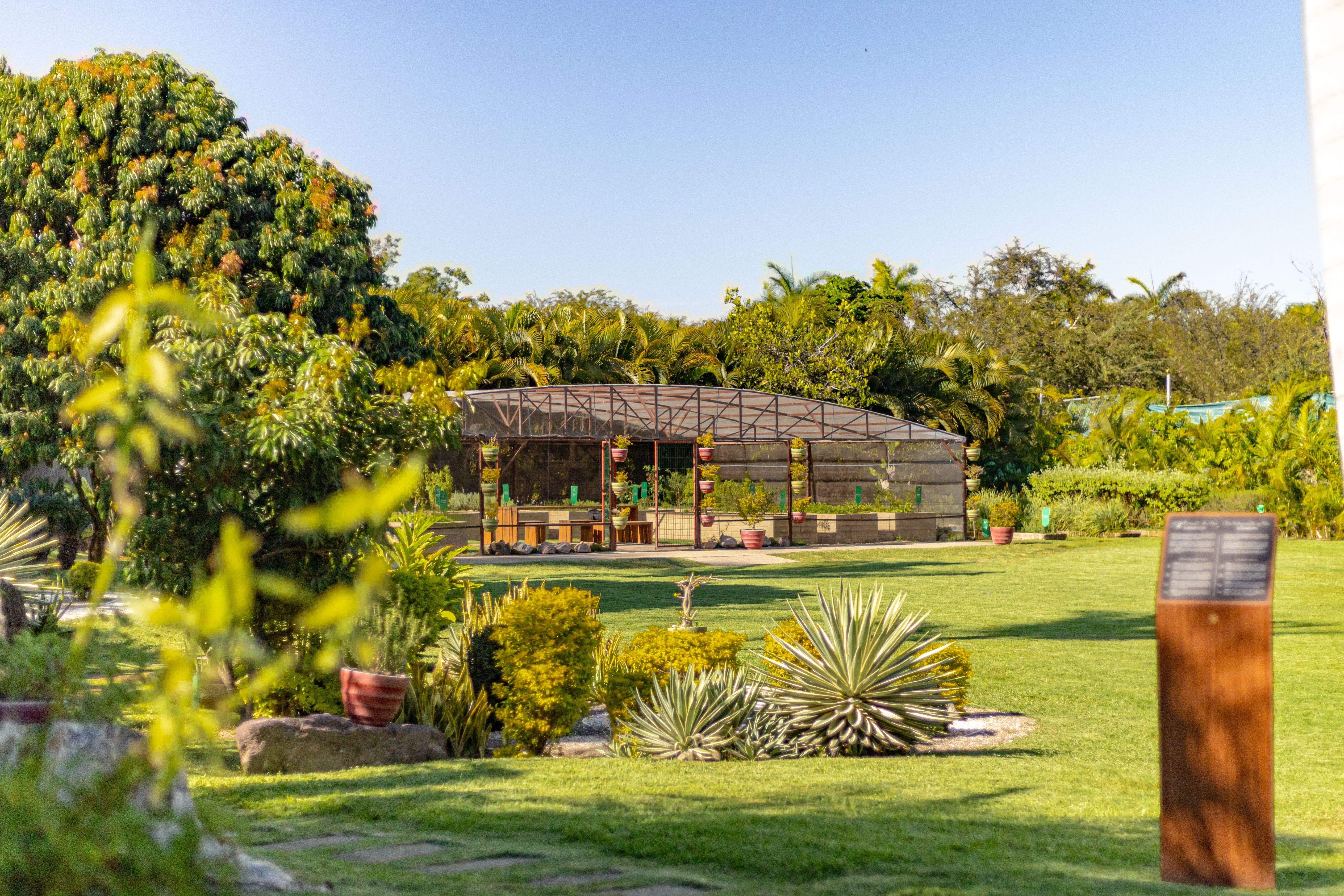 Casa Velas Unveils New Botanical Garden Workshop