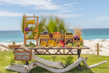 From Farm to Beach: New Organic Market to Open This Fall At Mar Del Cabo