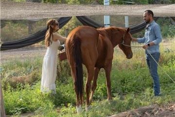 Exclusive Farm-to-Table Culinary Adventure in Cabo Unveiled by Mar del Cabo