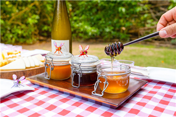 New Meliponario Helps Preserve the Maya Melipona Bee At Grand Velas Riviera Maya