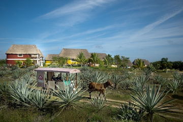 New Henequén Cultural Experience with Private Helicopter to Merida Available this Summer & Beyond at Grand Velas Riviera Maya
