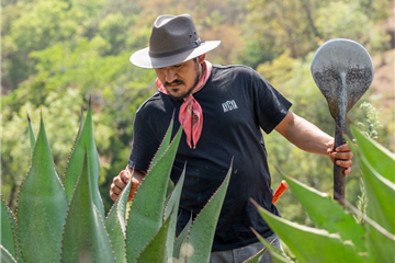New Journey from Casa Velas Explores Traditional Raicilla in the Heart of Jalisco