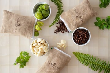 New Smell-Sensory Safety Measure for Guests and Staff Implemented At Velas Resorts