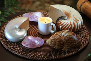 Healthy Spa Pops Offered for Spring   At Se Spa at Grand Velas Riviera Nayarit 