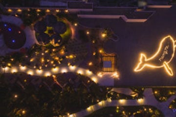 A Whale of an Engagement: Grand Velas Los Cabos Unveils New Proposal that Makes Major Splash