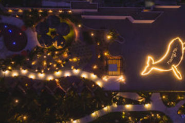 A Whale of an Engagement: Grand Velas Los Cabos Unveils New Proposal that Makes Major Splash
